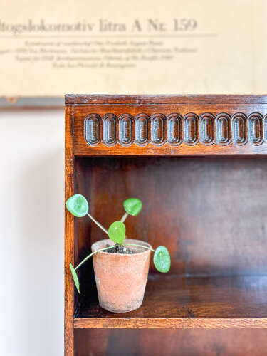 Small Dark Wood Open Bookcase with Carved Detailing